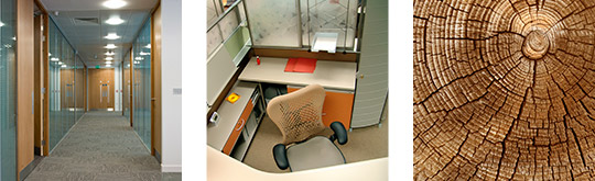 Office Hallway, Cubicle and Task Chair, Wood Grain Texture 